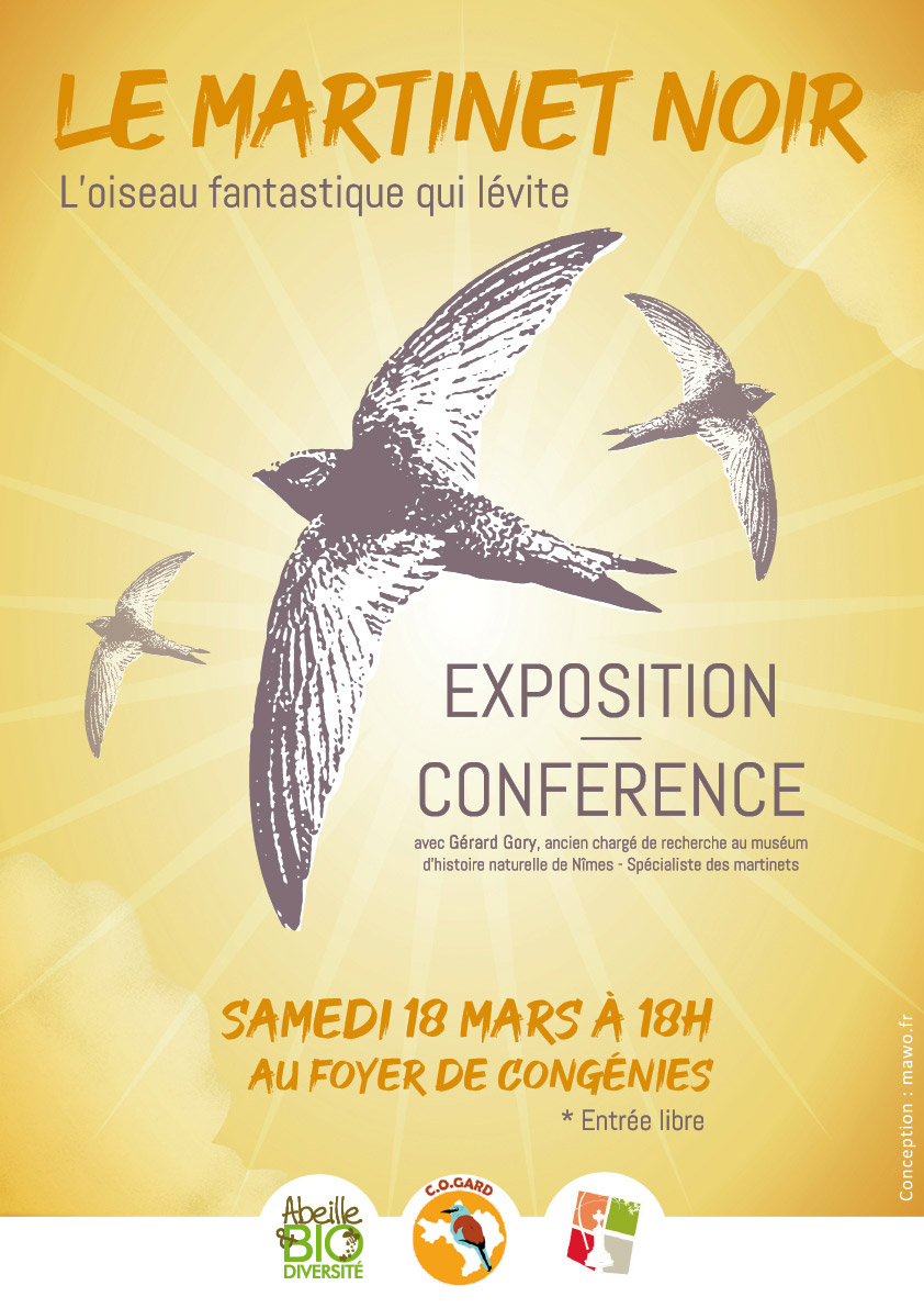 Conférence - Expo, ornithologie